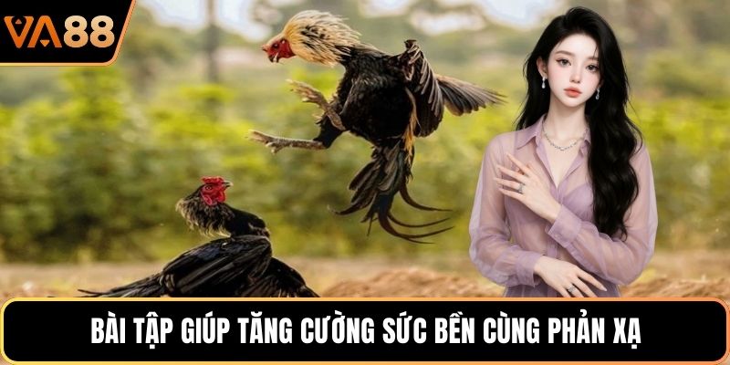 Bài tập giúp tăng cường sức bền cùng phản xạ