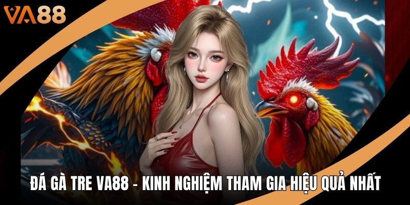 Đá Gà Tre VA88 – Kinh Nghiệm Tham Gia Hiệu Quả Nhất