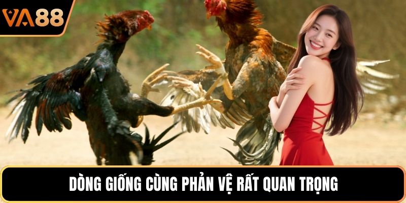 Dòng giống cùng phản vệ rất quan trọng