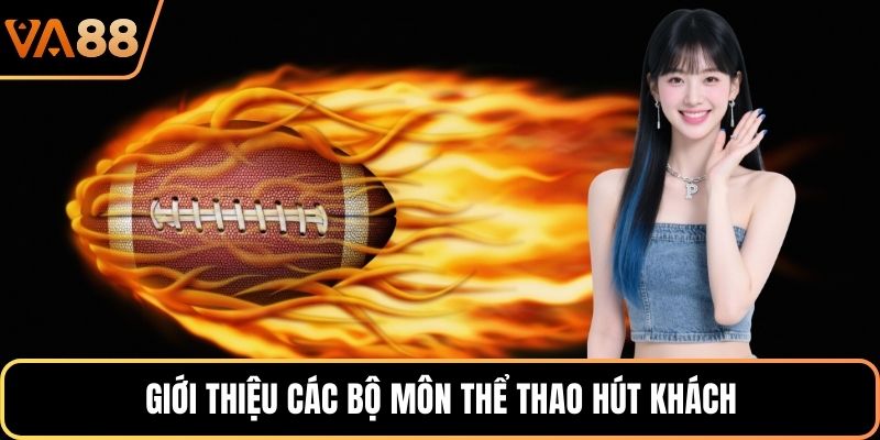 Giới thiệu các bộ môn thể thao hút khách