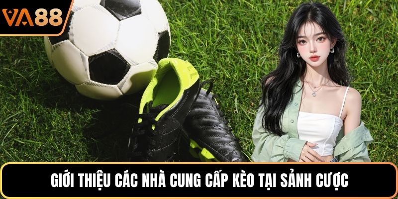 Giới thiệu các nhà cung cấp kèo tại sảnh cược