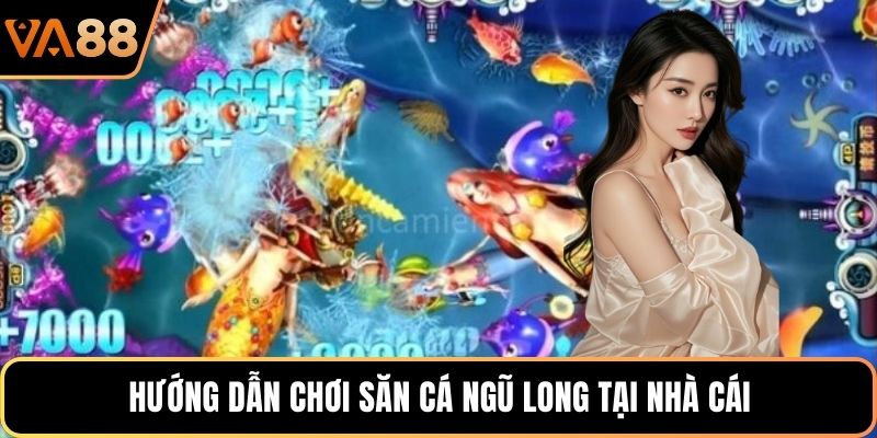 Hướng dẫn chơi săn cá Ngũ Long tại nhà cái