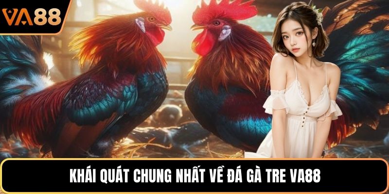 Khái quát chung nhất về đá gà tre VA88